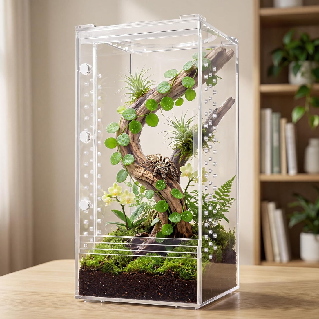 Jumping Spider Enclosure,Magnetic Doors All-Side Ventilation