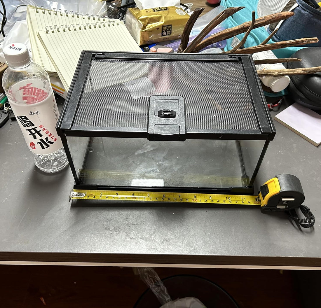 AWXZOM Mini Reptile Glass Terrarium Tank