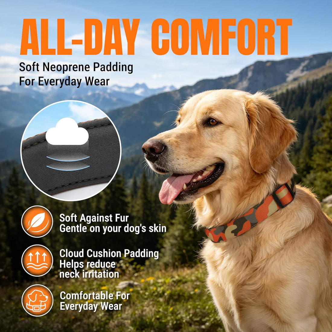 Medium Dog Collar, Neck 12"-20"