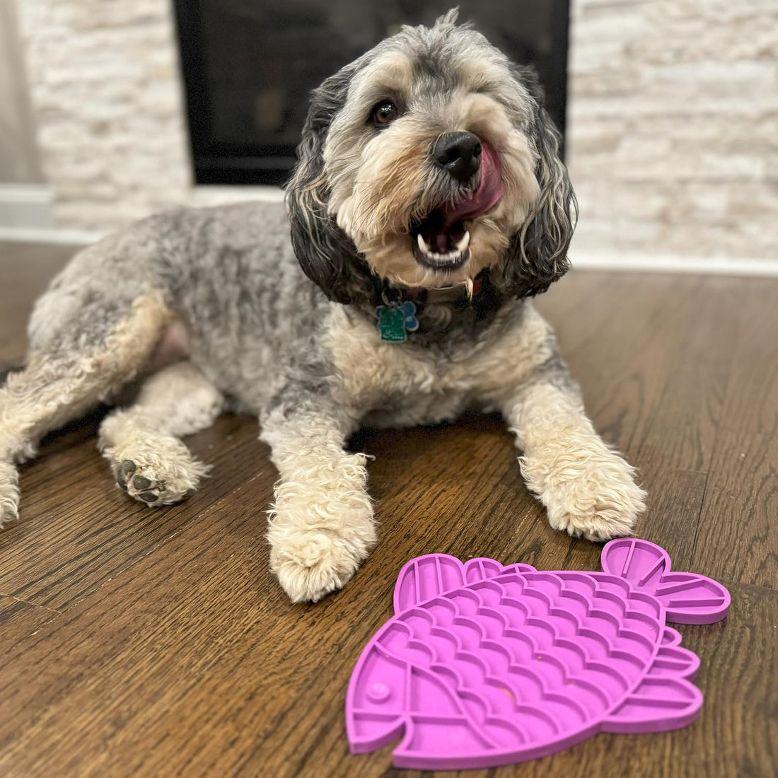 SPOT Soother Lick Mat-Licking Mat for Cats, Kittens