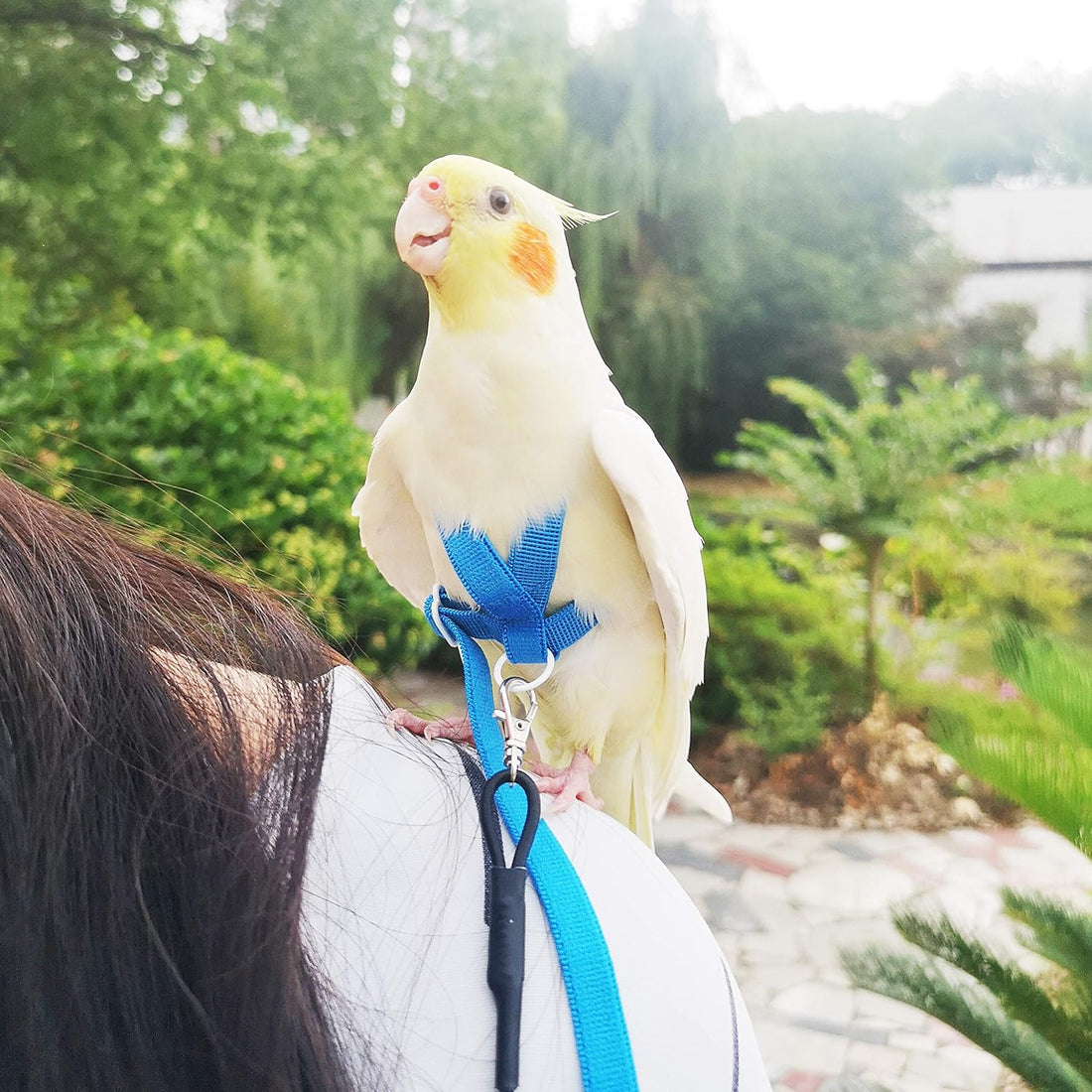 VANFAVORI Adjustable Bird Harness Elastic with 80-inch Flying Leash