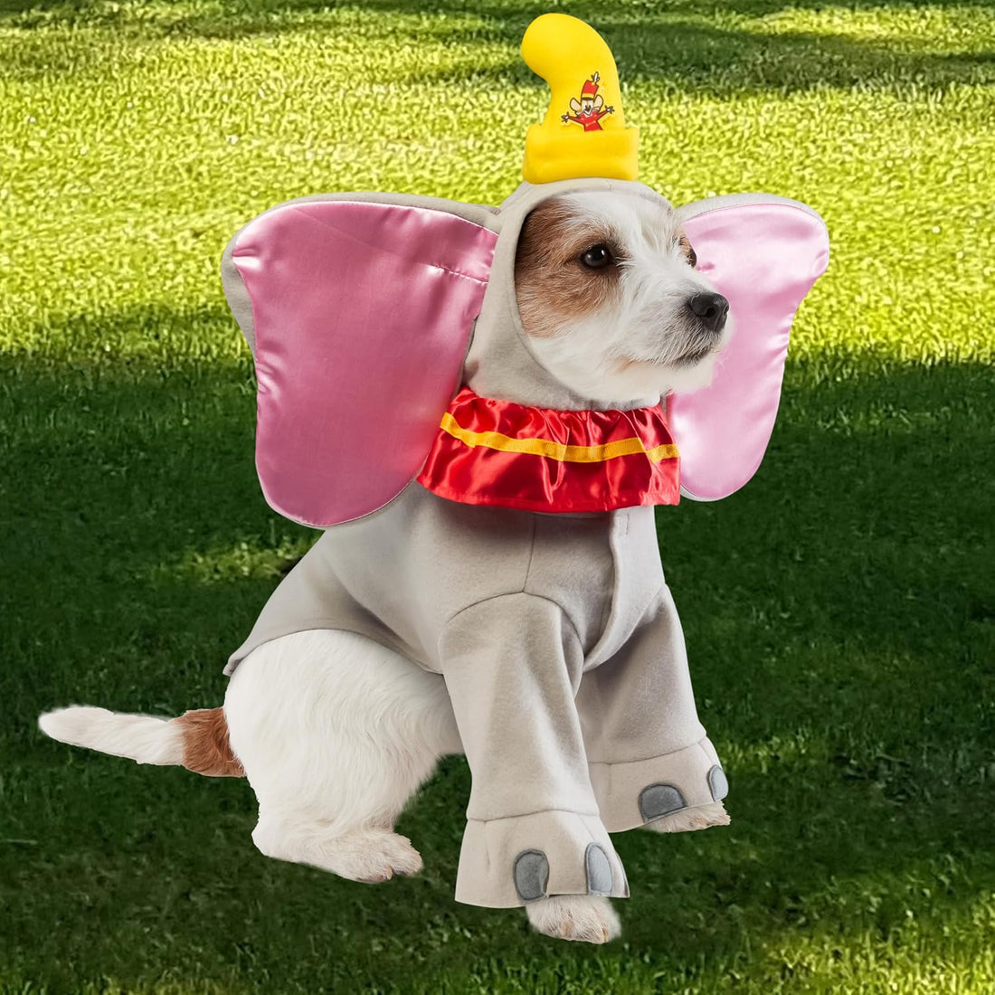 Rubies Disney: Dumbo Costume for for Dogs or Cats, Medium