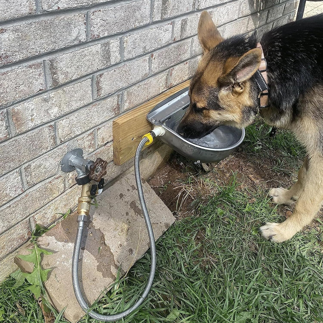 304 Stainless Steel Automatic Livestock Waterer with Float Valve