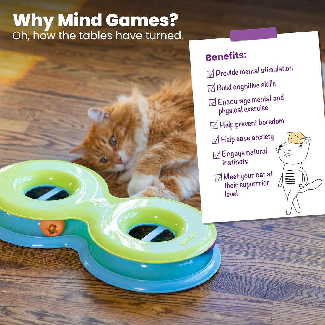 Catstages Infinity Ball Track for Cats, 3 Balls Included, 17.4"