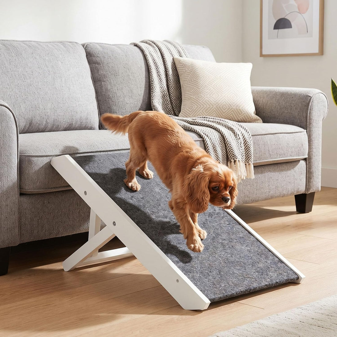 Internet's Best Adjustable Pet Ramp
