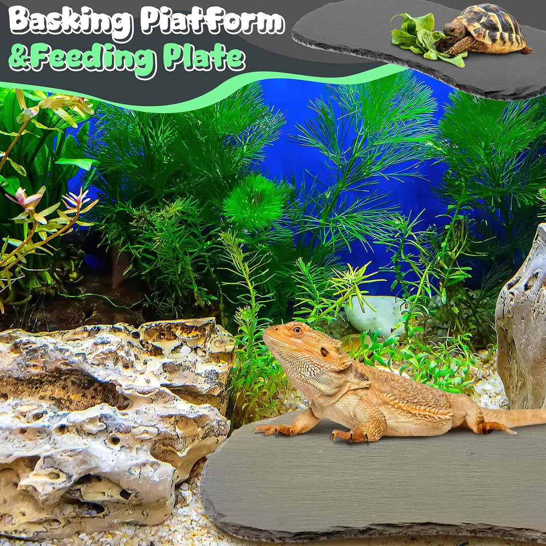 Shinylin 1 Pack Reptile Basking Platform Tortoise Slate Rock