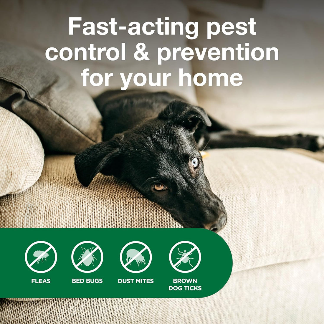 Advantage Spot & Crevice Spray, Kills Fleas & Ticks, 24 oz.