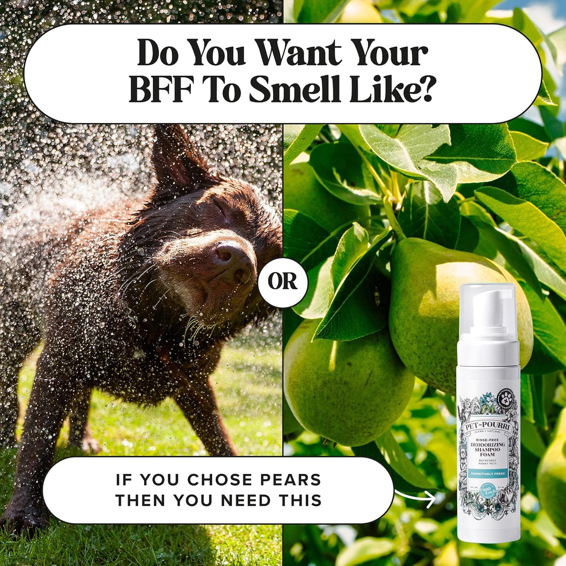 Poo-Pourri Rinse-Free Deodorizing Dry Shampoo for Dogs & Cats, 6 Fl Oz
