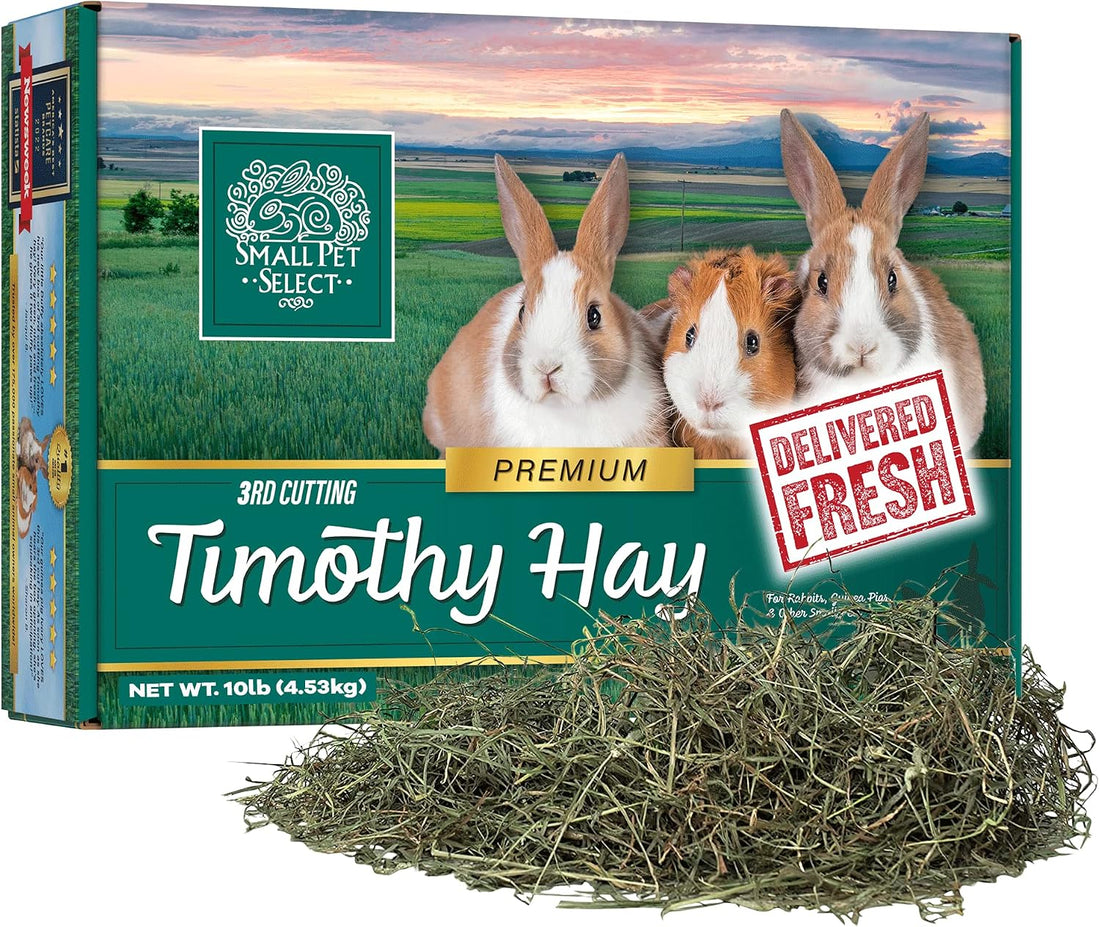 Small Pet Select 3rd Cutting Super Soft Timothy Hay, Picky Eaters