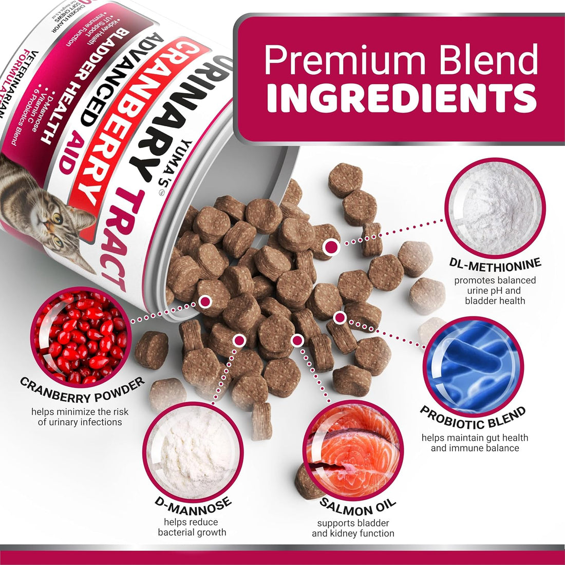 Cat Urinary Tract Health - Cranberry Supplement for Cats