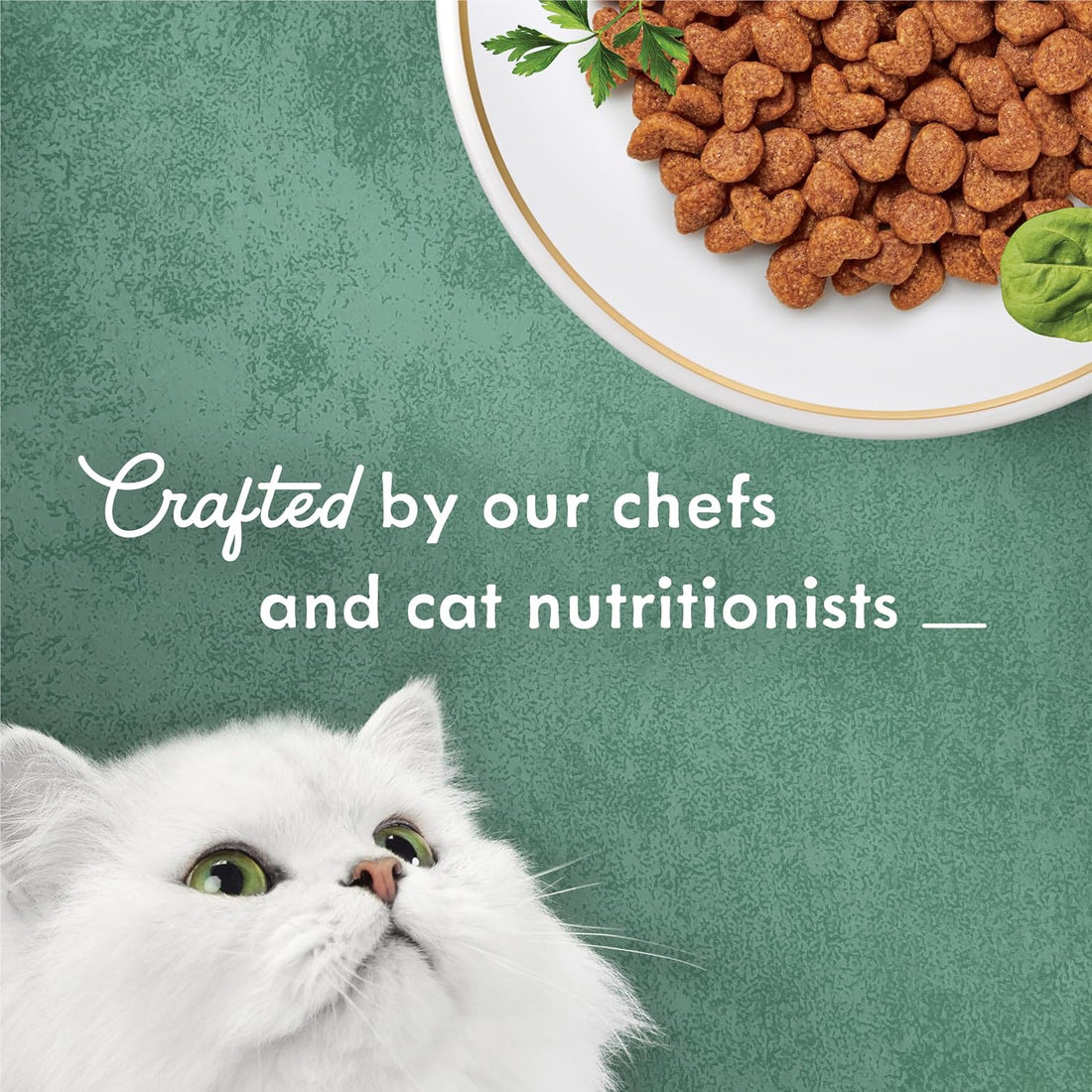 Fancy Feast Purina Medleys Primavera Style with White Meat Chicken
