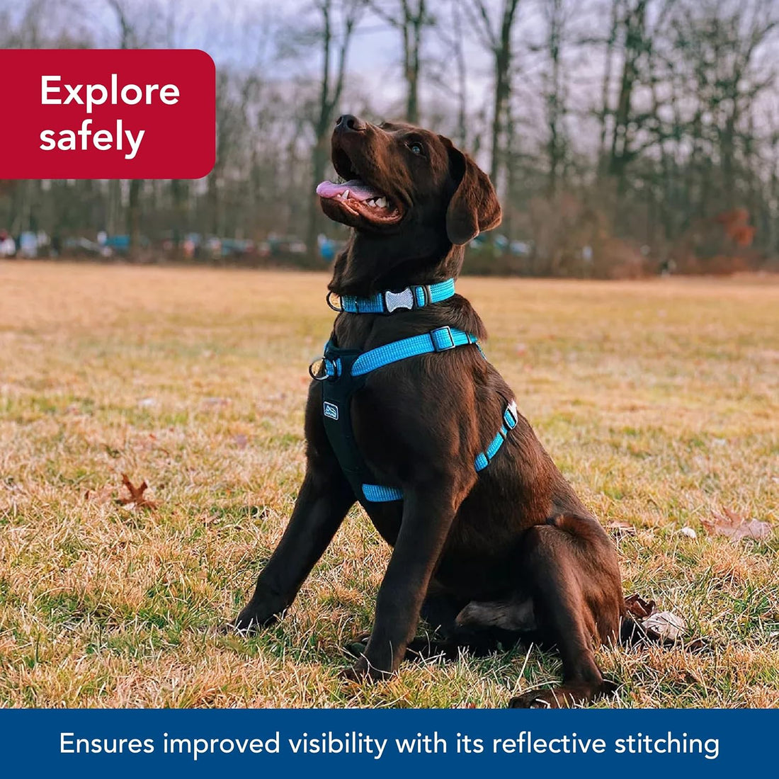 Coastal Pet K9 Explorer Brights Reflective Harness, Mountain