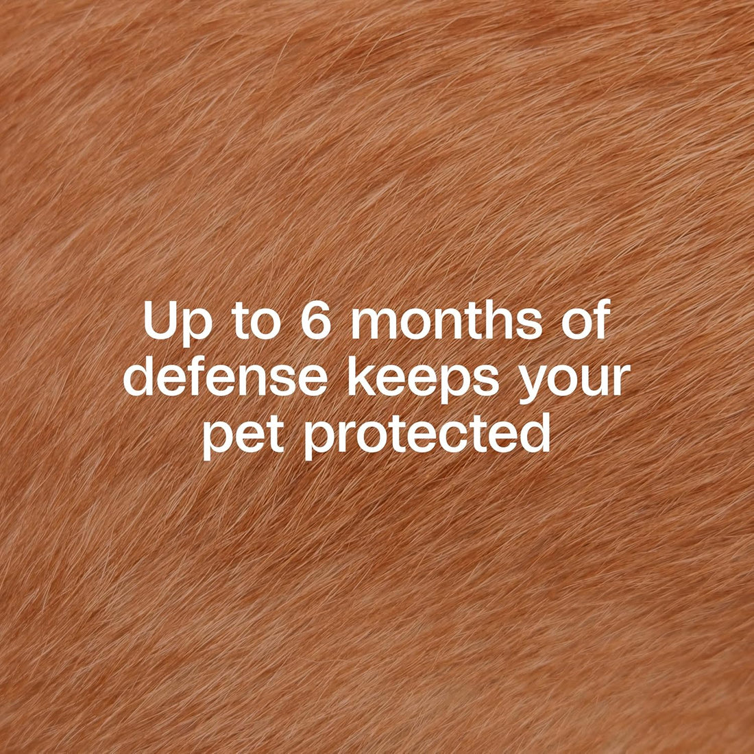 ADAMS Flea & Tick Collar Plus for Dogs, Prevent flea infestations