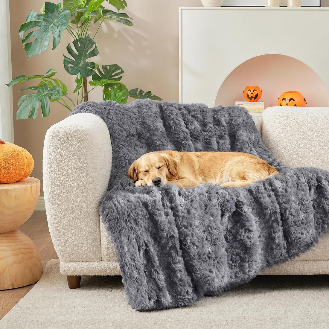 Cat Blanket for Indoor Cats, Soft Faux Fur & Sherpa