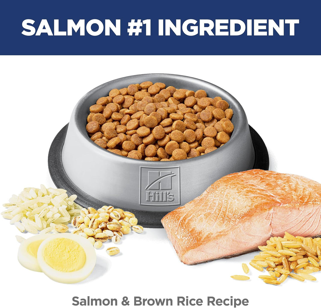 Hill's Science Diet Sensitive Stomach & Skin Dry Cat Food