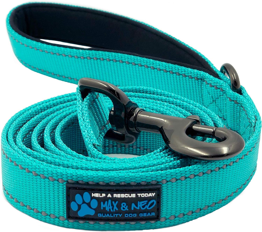 Max and Neo Reflective Nylon Dog Leash - We Donate One for Every Sold