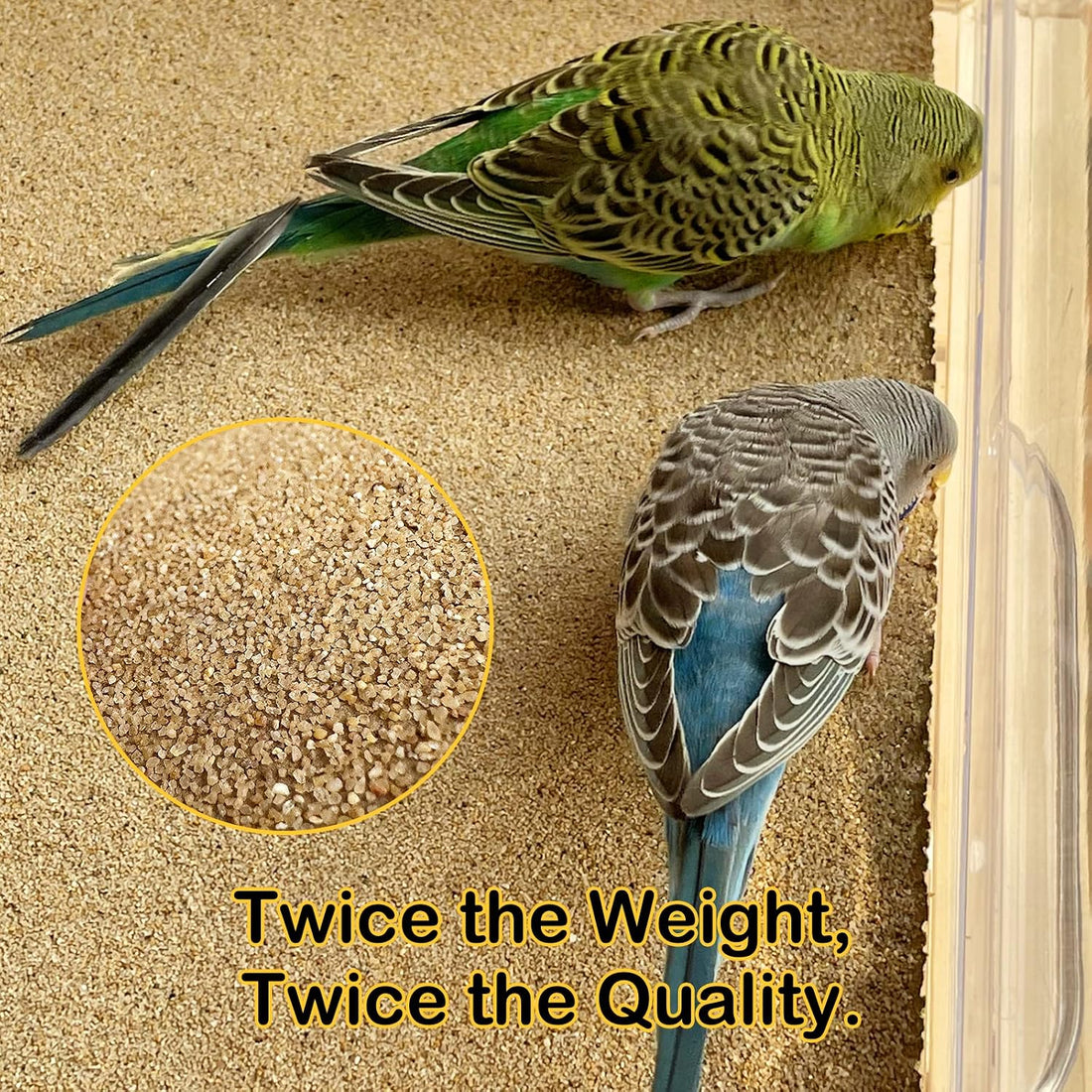 S&X Gravel Paper Bird Cage Liners