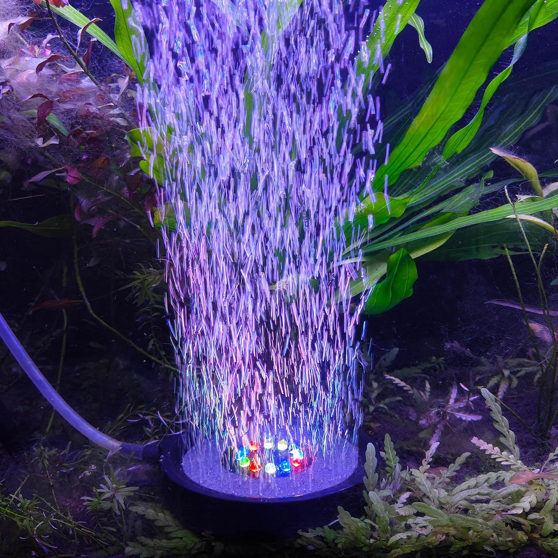 NICREW LED Aquarium Bubbling Stone Disk, 2 Inch Fish Tank Bubbler