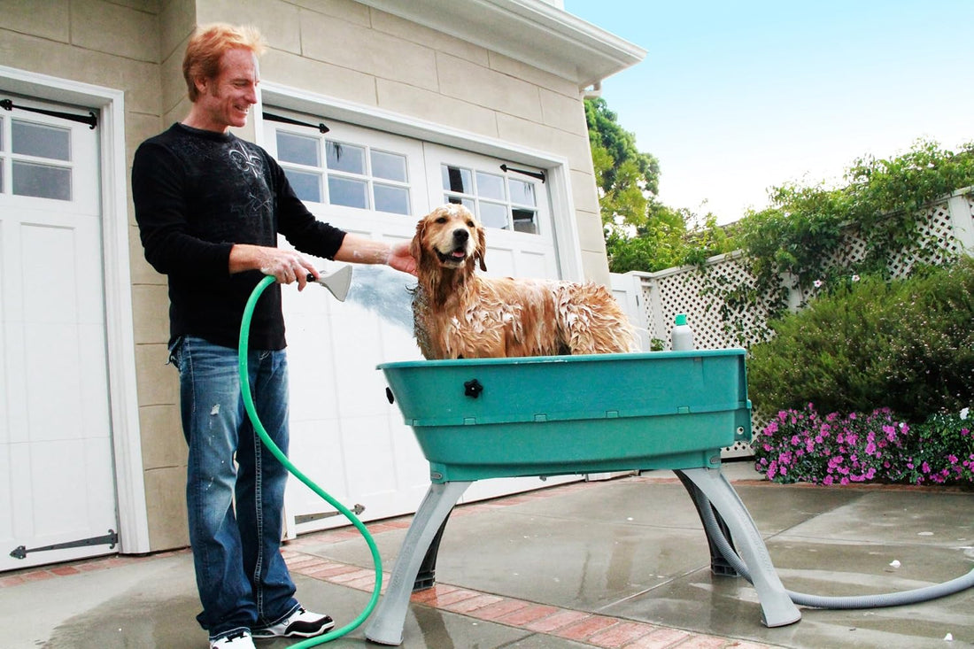 Booster Bath Elevated Dog Bathing and Grooming Center, Large