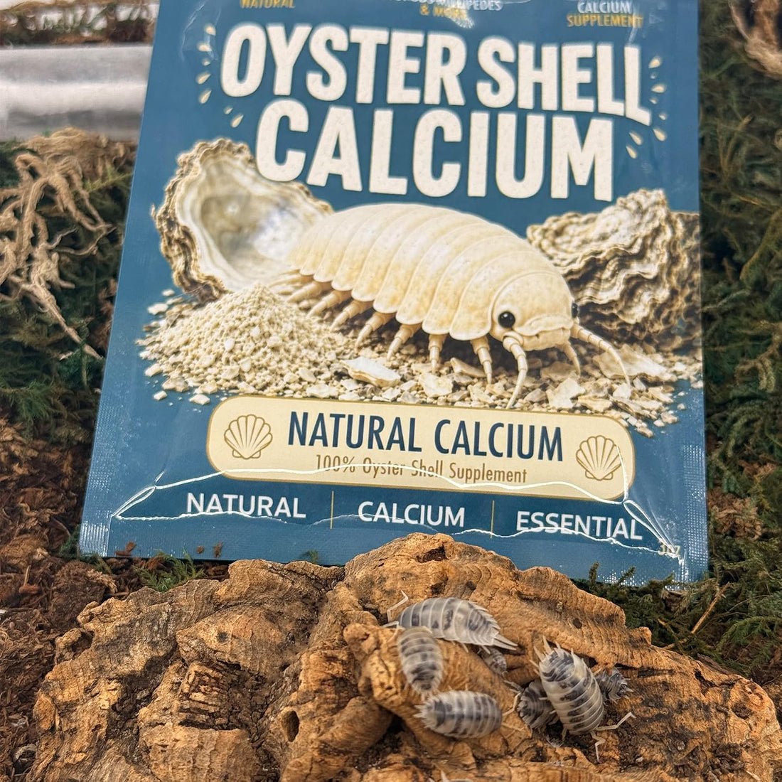 CTWPets Crushed Oyster Shells for Isopods, Natural Calcium Supplement