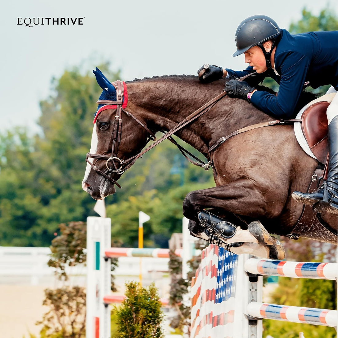 Equithrive Electrolyte Pellets Horse Supplement, 4 lbs, 20 Day Supply