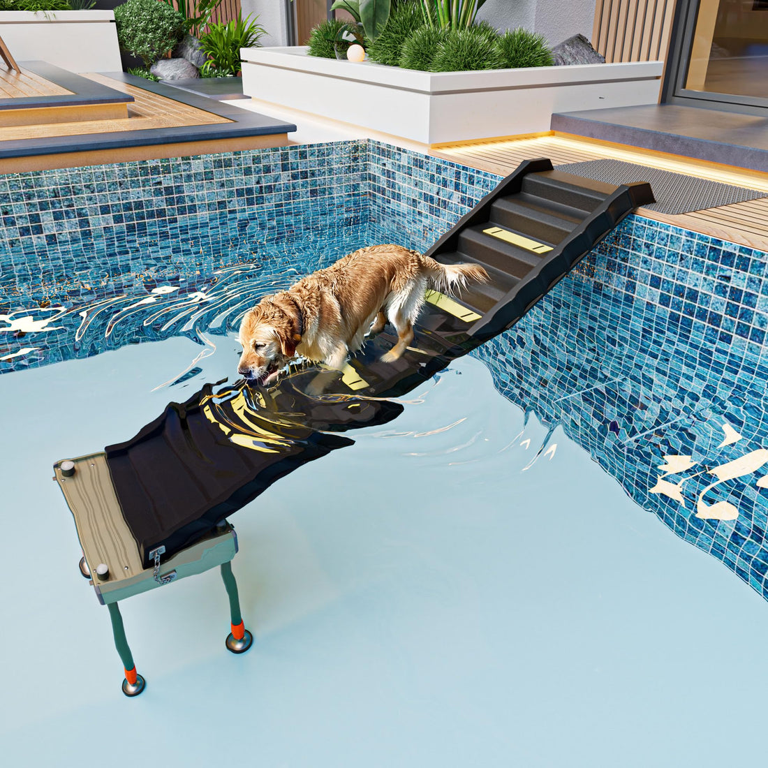 Adjustable 4-Leg Dog Pool Ramp