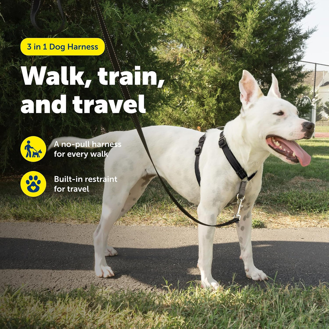 PetSafe 3 in 1 No-Pull Dog Harness for Medium Dogs - Walk