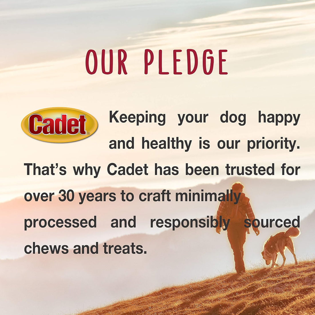 Cadet Premium Grade Beef Hide Chips Dog Chews, 2 lbs