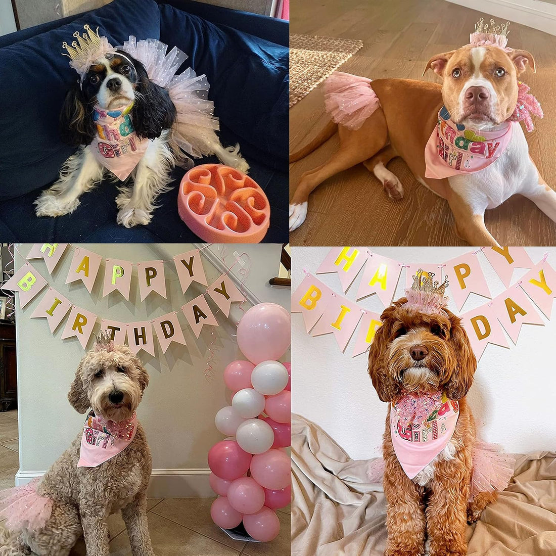 ADOGGYGO Dog Birthday Hat Bandana Girl - Puppy Birthday Party Supplies