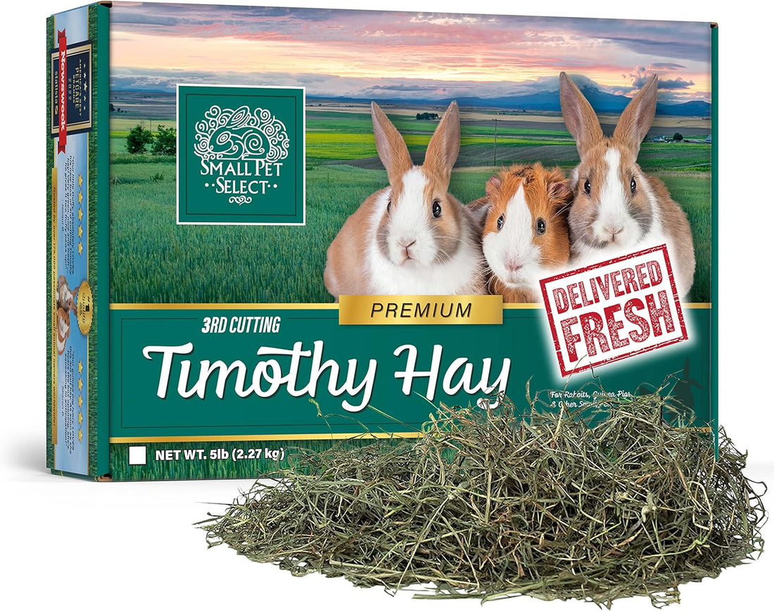 Small Pet Select 3rd Cutting Super Soft Timothy Hay, Picky Eaters