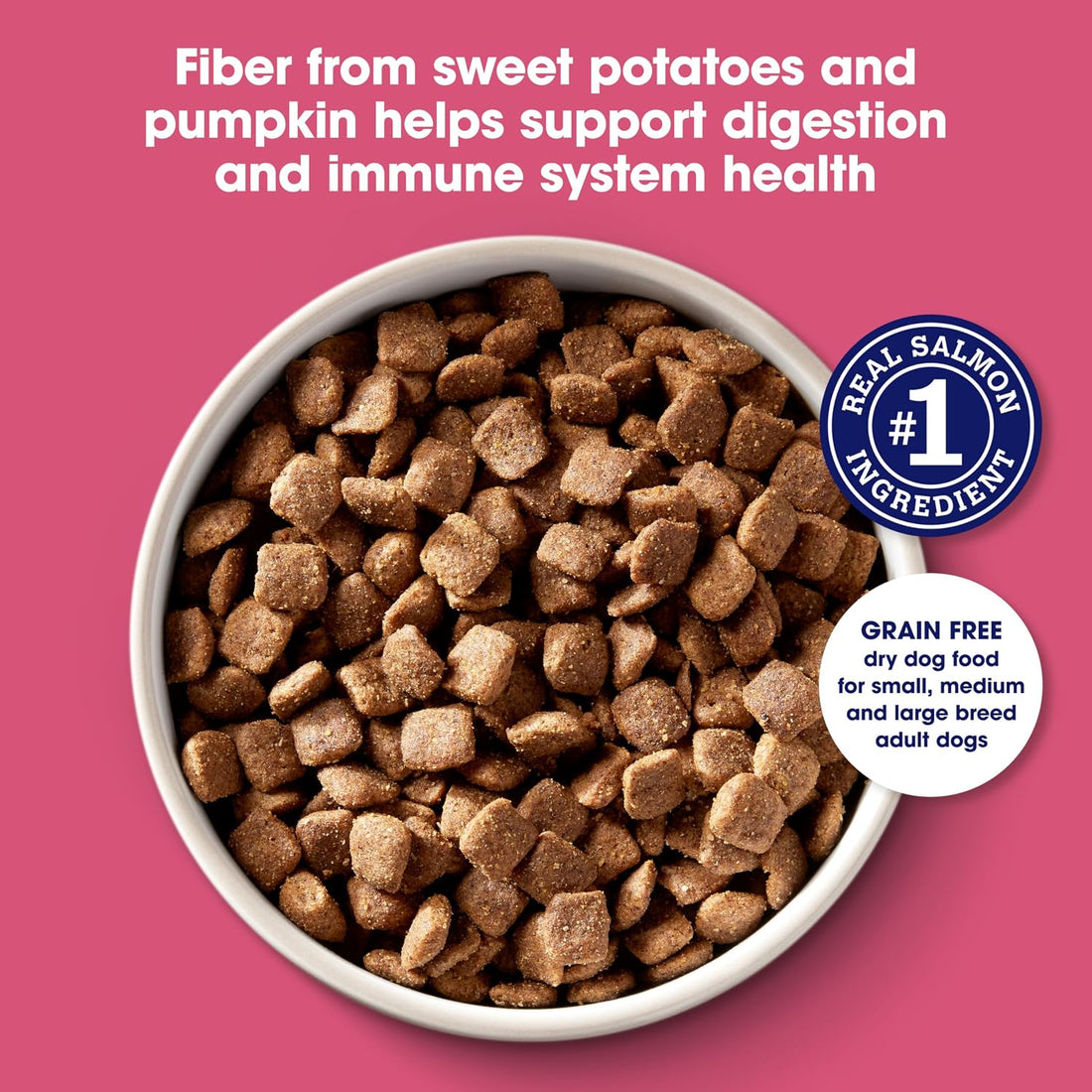 Nature's Recipe Grain Free Dry Dog Food, Salmon