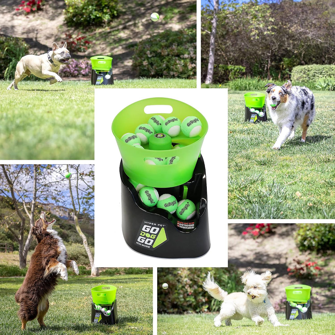 Hyper Pet GoDogGo Automatic Dog Ball Launcher, Includes 5 Balls