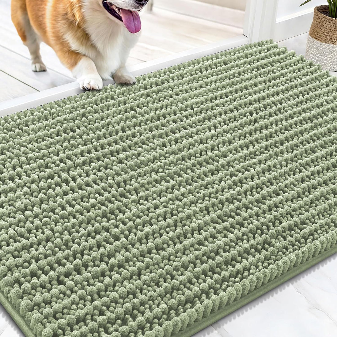 OLANLY Dog Door Mat for Muddy Paws 30x20