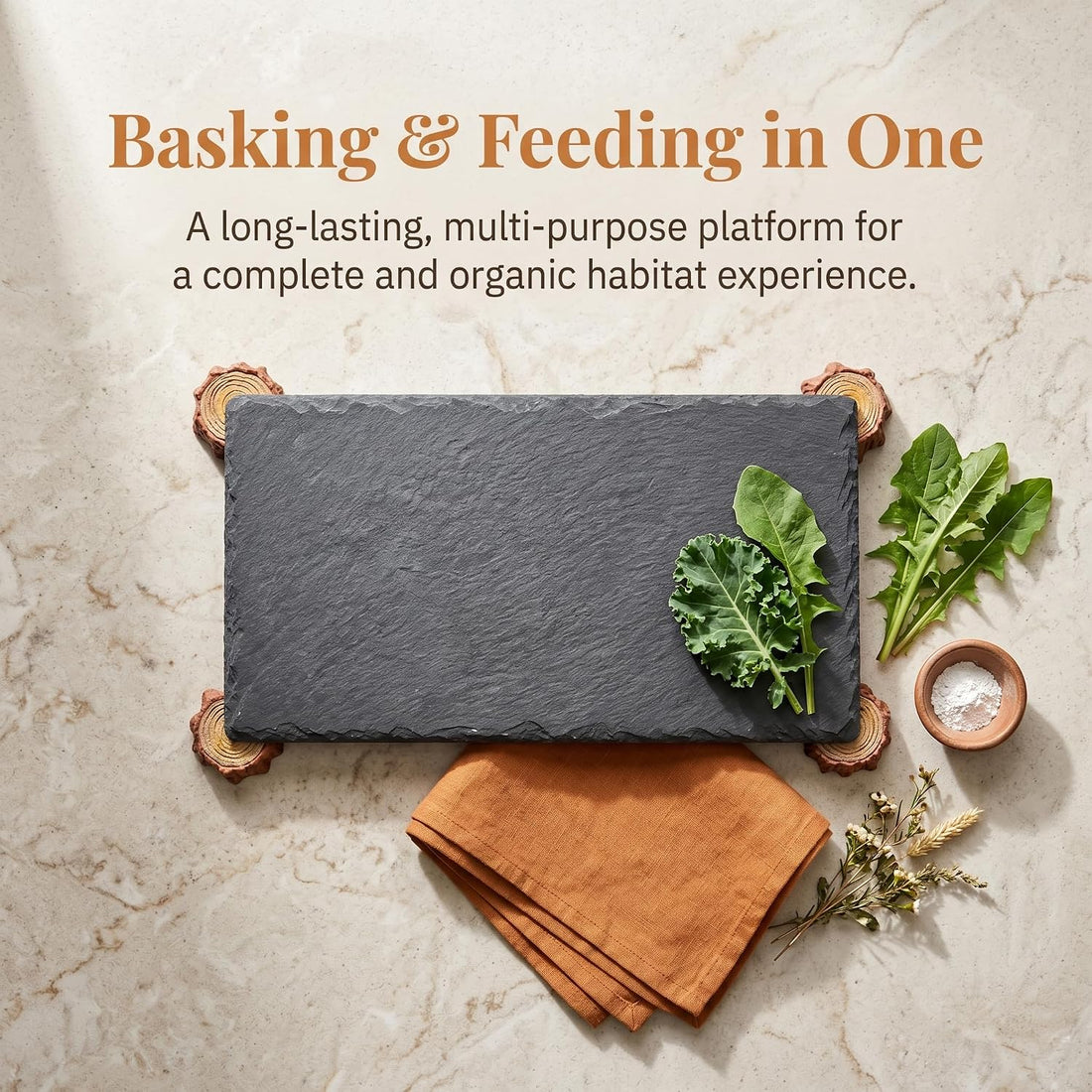 Bearded Dragon Basking Platform