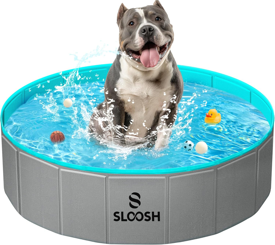 Sloosh Foldable Dog Kiddie Pool