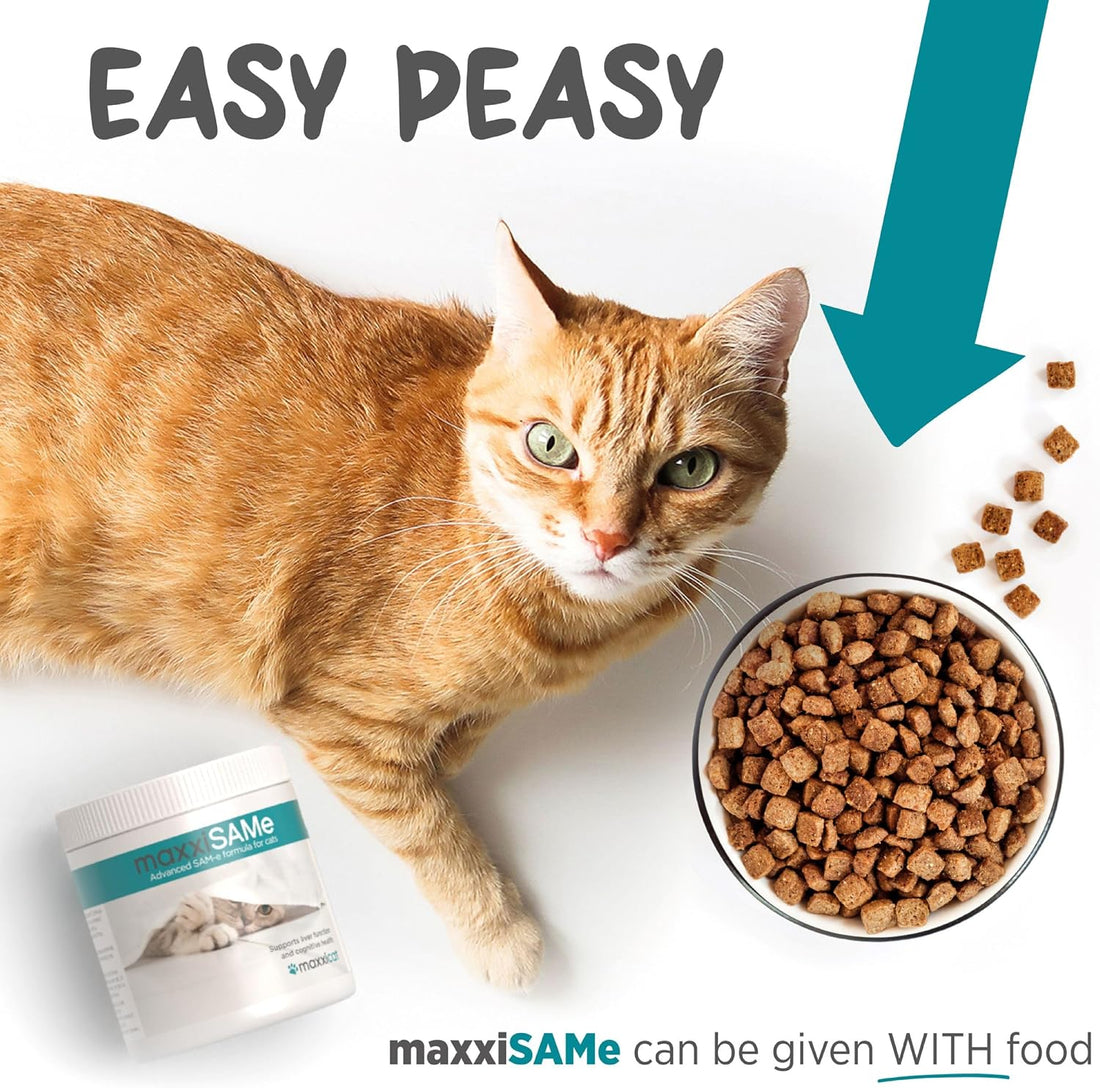 maxxipaws maxxiSAMe SAM-e for Cats