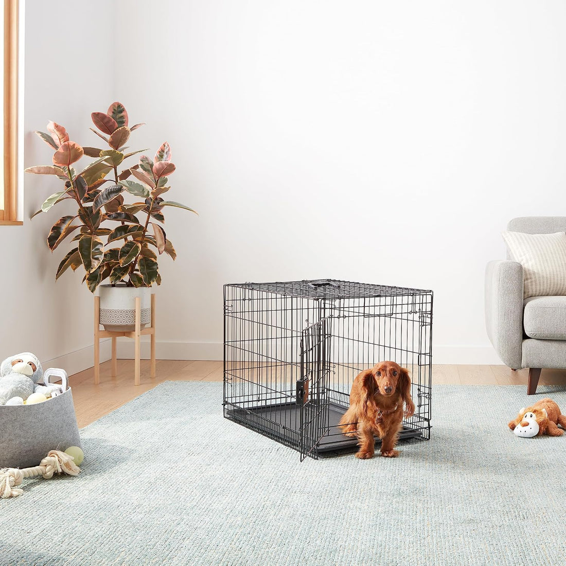 Portable, Foldable Metal Wire Dog Crate with Removable Tray