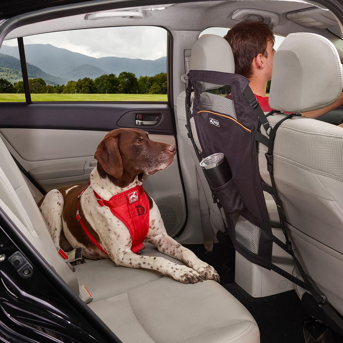 Kurgo Backseat Barrier