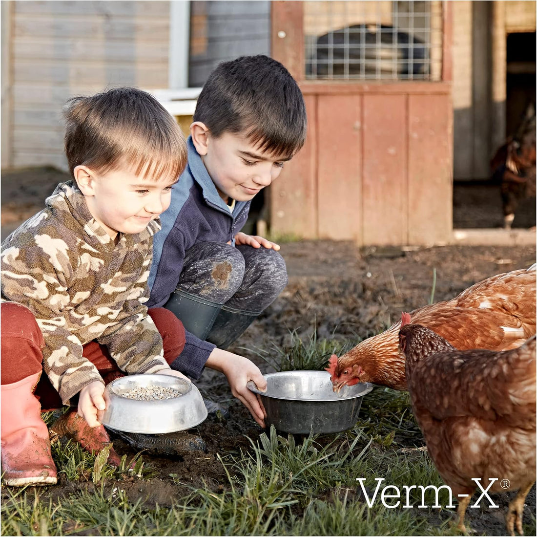 Verm-X Liquid Poultry & Fowl Internal Parasite 250Ml