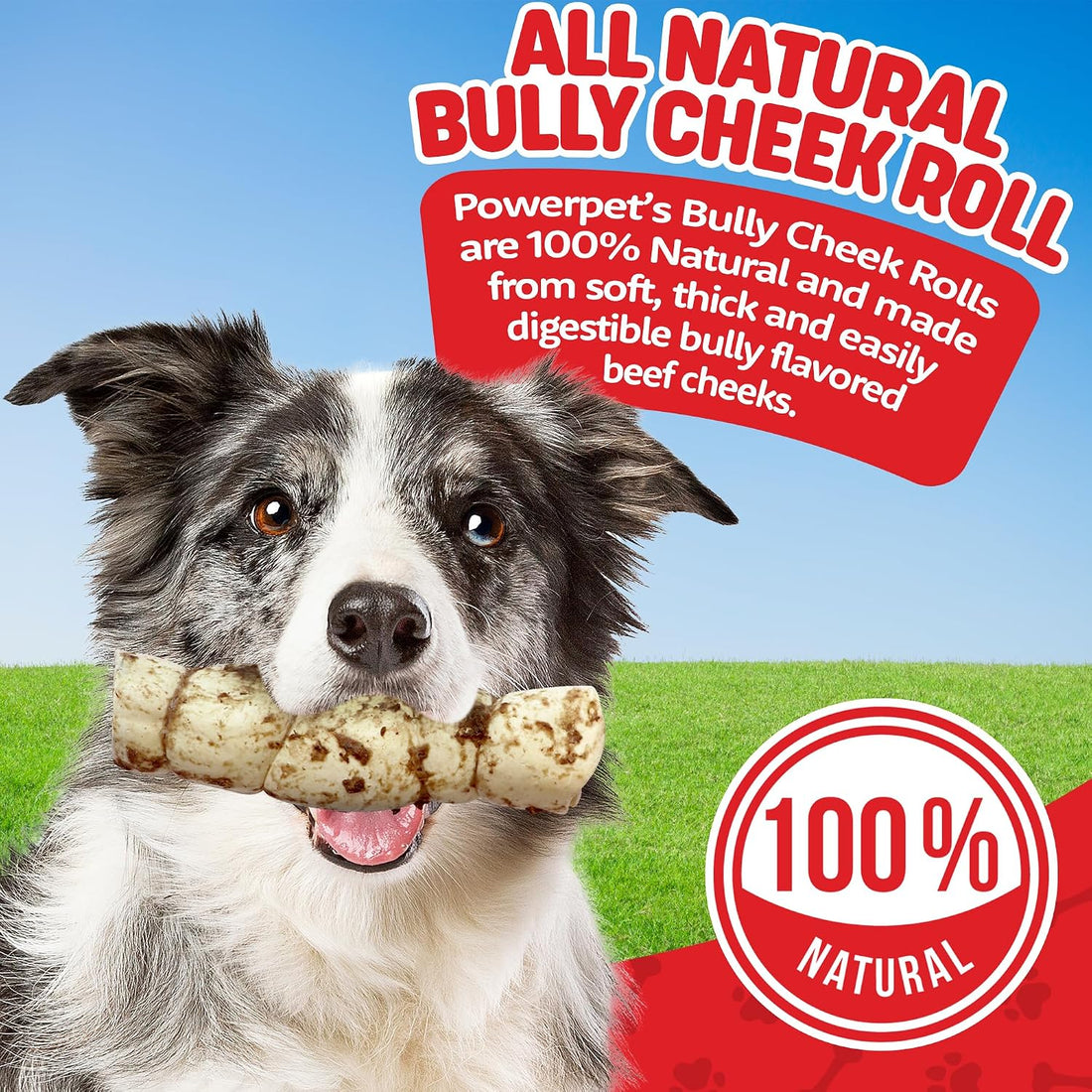 Powerpet Treats Bully Beef Cheek Rolls for Dogs - Bully Sprinkled, 1pc