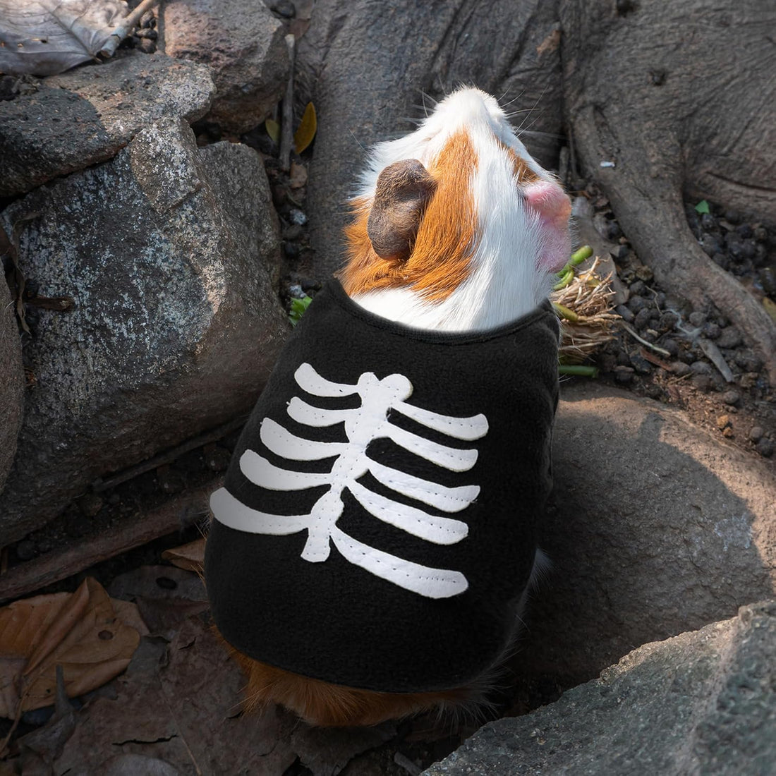 Halloween Guinea Pig Clothes, 2 Pack Soft Small Pet Vest Outfits