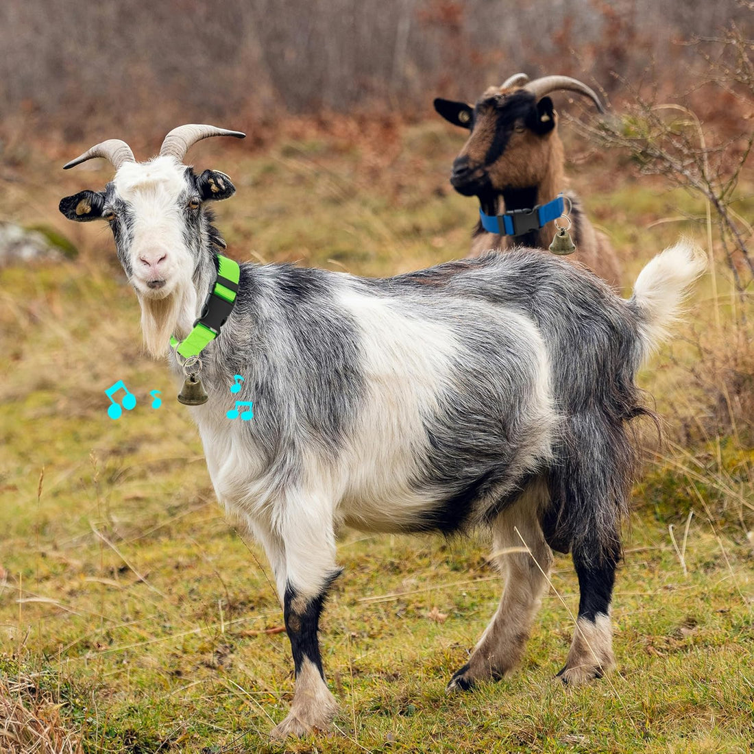 3 Pack Goat Collars with Loud Bells, Anti-Lost Grazing Pet Collar