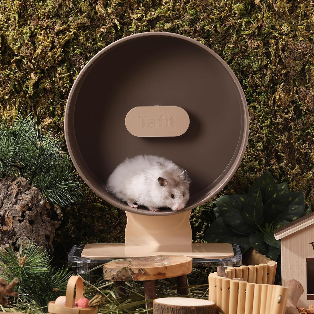 Super‑Silent Hamster Exercise Wheel – 10.2‑inch Quiet Running Spinner
