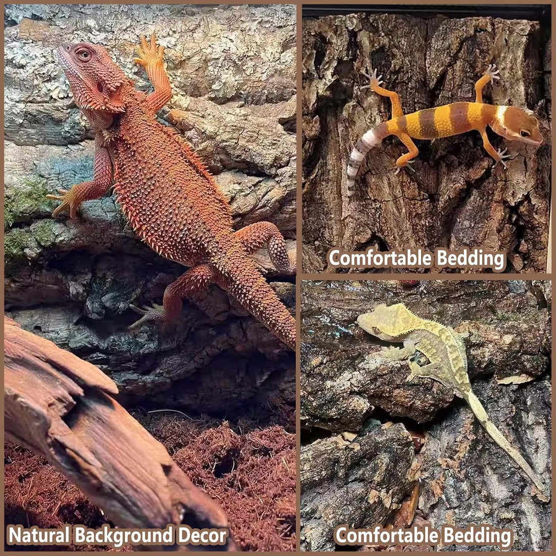 2PCS 11.8"x7.8" Natural Thickened Reptile Cork Bark Terrarium