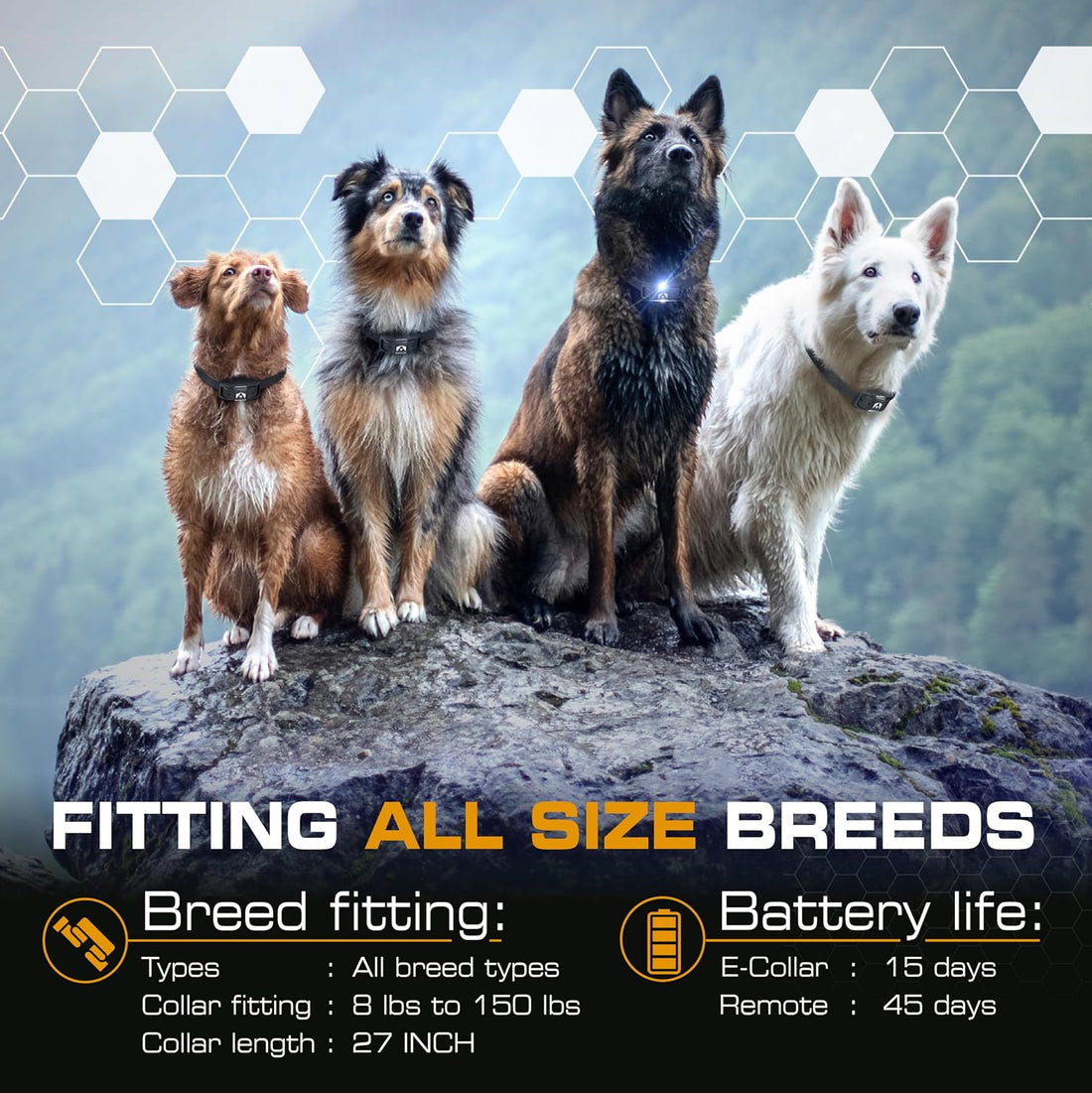INVIROX Ultra K9 Dog Training Collar with Remote