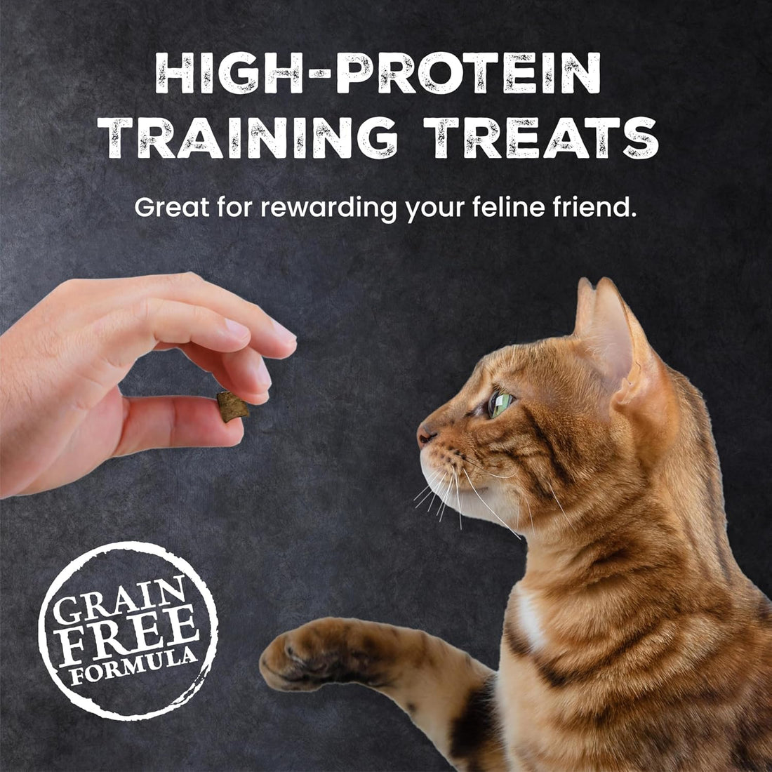 Blue Buffalo Wilderness Crunchy Cat Treats