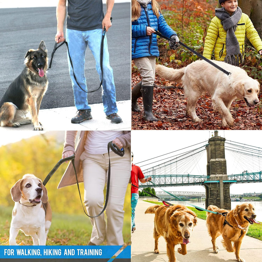 Heavy Duty Dog Leash - 2 Handles by Padded Traffic Handle for Extra