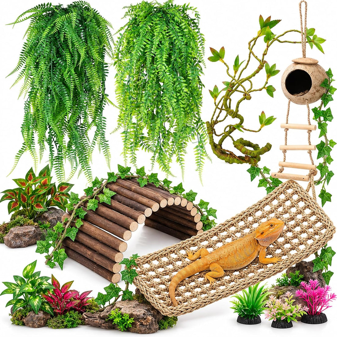 Reptile Plants for Bearded Dragon Tank Accessories