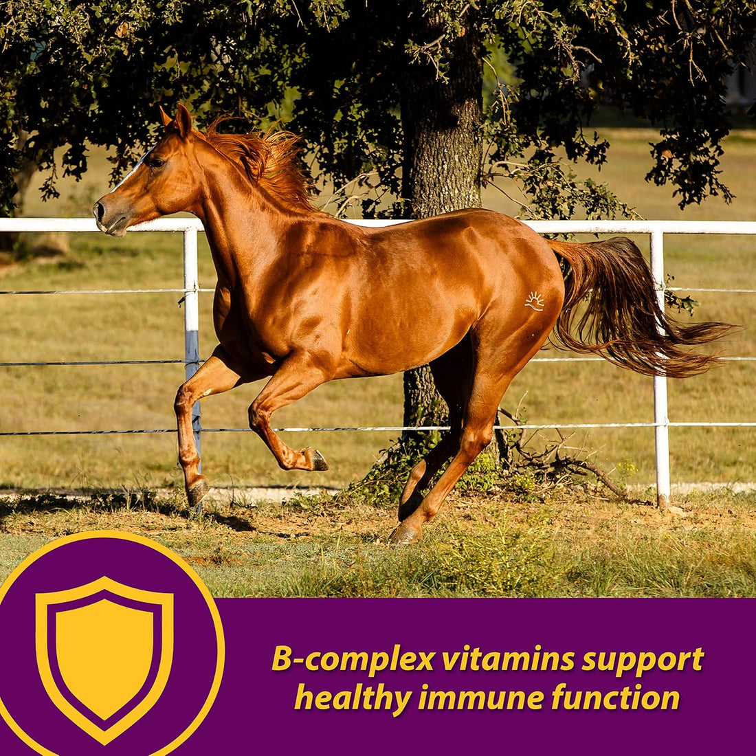 Farnam Horse Health Red Cell Pellets