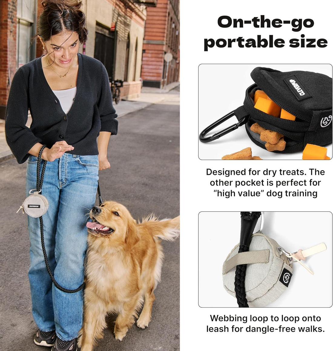 Cleverpup Snackpack Double Insulated Dog Treat Pouch
